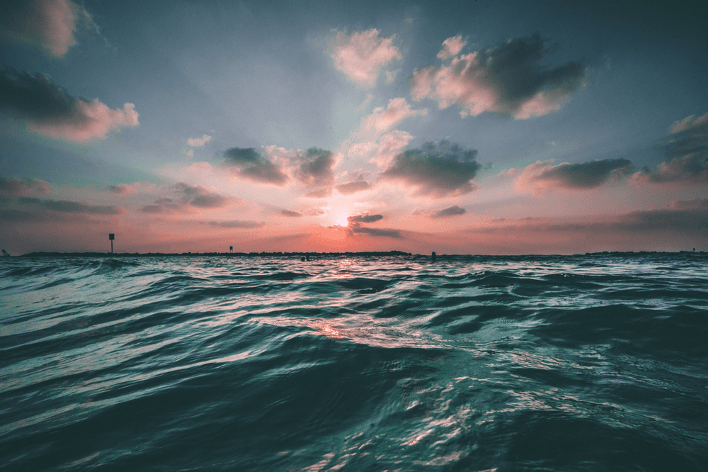 Ocean Visions’ Experts to Advise/Evaluate Innovation Tackling Ocean Acidification